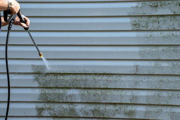 Best Carpet Removal and Disposal  in Baiting Hollow, NY